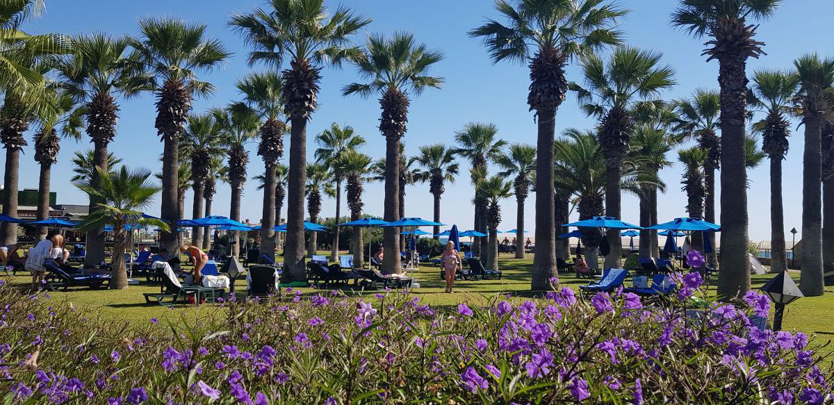 imagini hotel MEGASARAY 2021